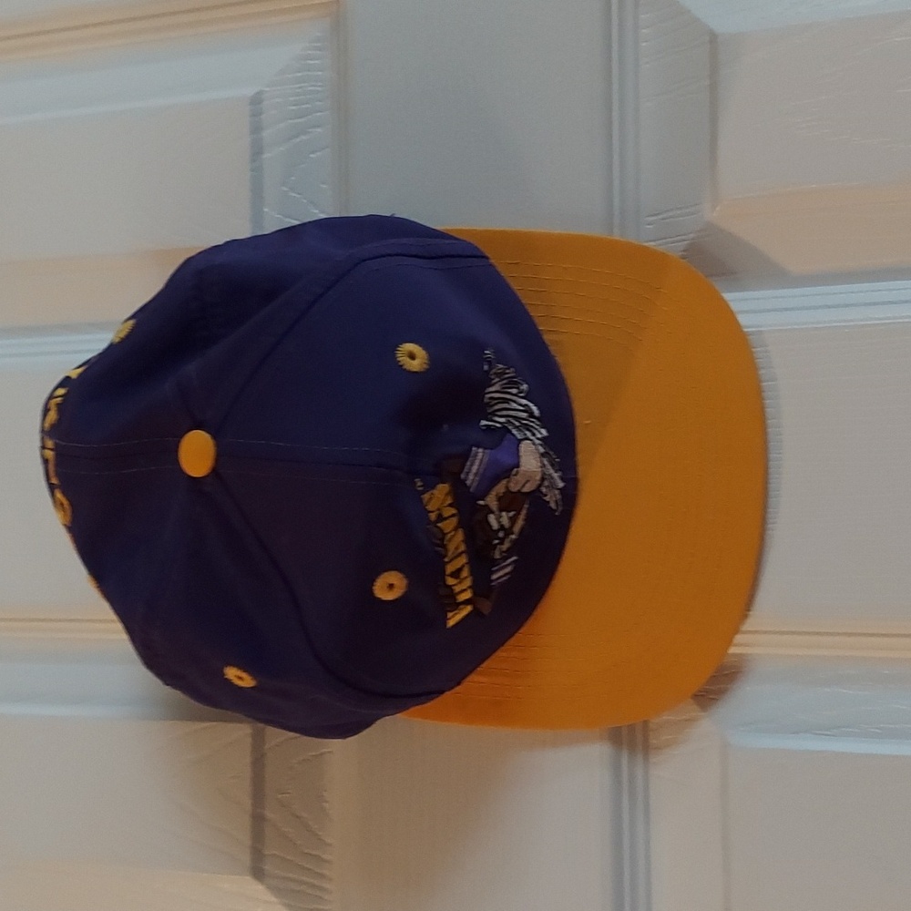 1993 Minnesota Vikings Looney Tunes Taz Snapback NFL Football Taz Hat NWOT!